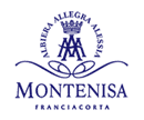 Montenisa Franciacorta